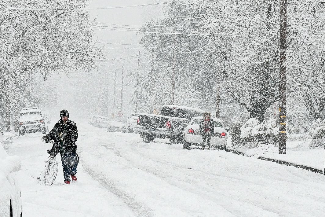 Scott Stoddard tweet media