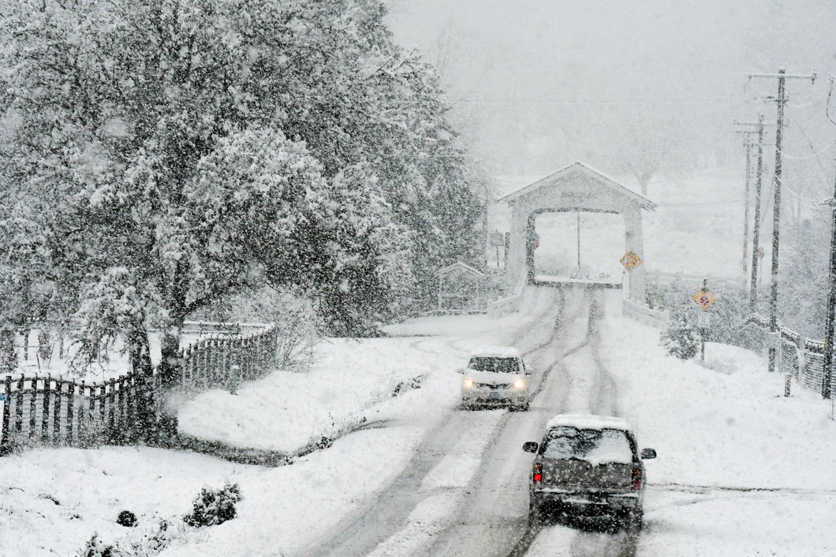 Scott Stoddard tweet media