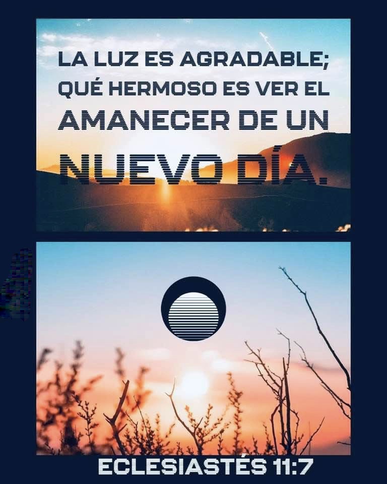 La luz es agradable; qué hermoso es ver el amanecer de un nuevo día.
Eclesiastés 11:7
<a href="/Rossbruzzone23/">Rossana Bruzzone 🇮🇹🇳🇮</a> <a href="/YBushart/">Yolanda 🇳🇮</a>
@hannahR777
<a href="/ValentiaNica/">Valentía</a> <a href="/MiBandera23/">🇳🇮💙❤️🇺🇸</a>
<a href="/Golondrina_Nica/">Golondrina 🦋 🇳🇮</a>
<a href="/Doris65465424/">💙Alondra 💙</a>
 <a href="/vmmarty/">Vic M. Martinez</a>