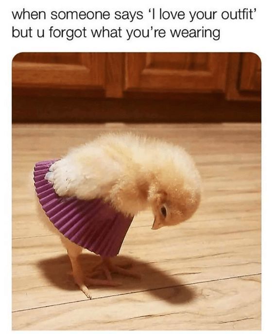 WholesomeMemes (@wholesomememe) on Twitter photo 