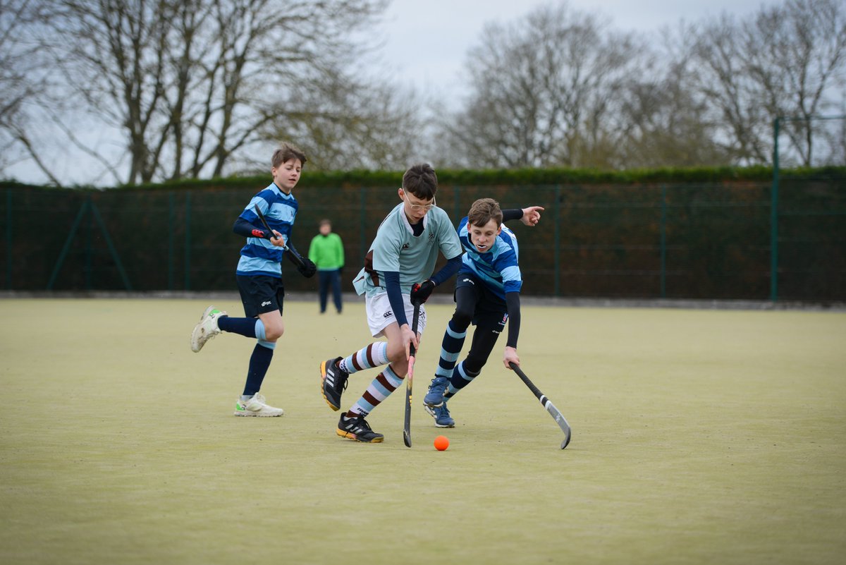 Framlingham College Sport tweet media