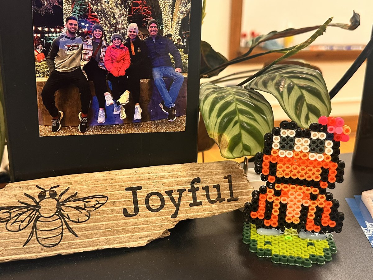 DrVickiLarson's tweet photo. Feeling grateful for this thoughtful Orange Frog reminder on my desk! A huge thank you to Ryan Read for this symbol of positivity and gratitude. Small gestures make a big impact! #OrangeFrog #Gratitude #PositivityInAction https://t.co/dEOOR9hK0B