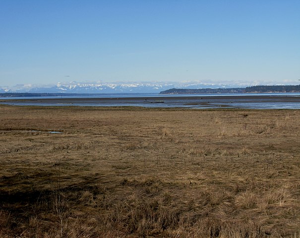 Happy Birthday <a href="/BethDoglio/">.</a>!

The first section of the Nisqually National Wildlife Refuge was purchased in January 1974 by the federal government. In the 1980s, the state developed a comprehensive plan to protect the watershed.

7 #StateFarm agents live in the 22nd LD. #waleg