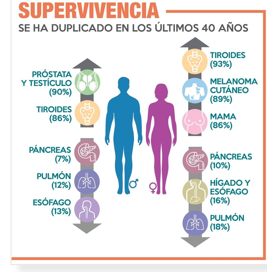 En el #DíaMundialContraelCáncer queremos recordar que en España se diagnostiacarán en 2025 más de 6000 nuevos casos de cáncer de tiroides.

Aunque la supervivencia a 5 años está en el 90%, algunos subtipos como el anaplásico no tienen tratamientos aprobados en 🇪🇸.
<a href="/aecat_es/">AECAT</a>