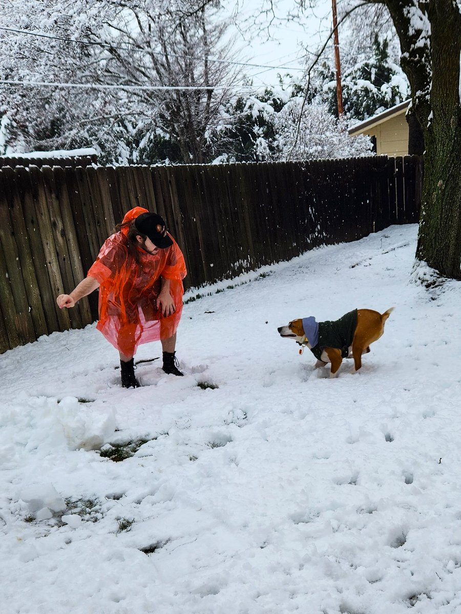 TheChellosRule's tweet photo. @MedfordALERT Dogs first snow https://t.co/DXlVecbmA0