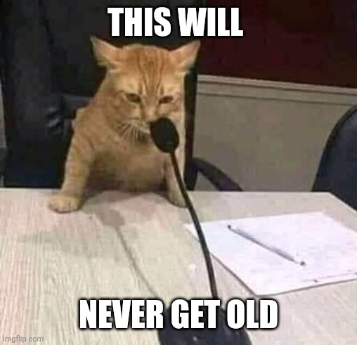 <a href="/JUSTcatmeme2/">MittZYN’s</a> <a href="/JUSTcatmeme/">Mittens</a>