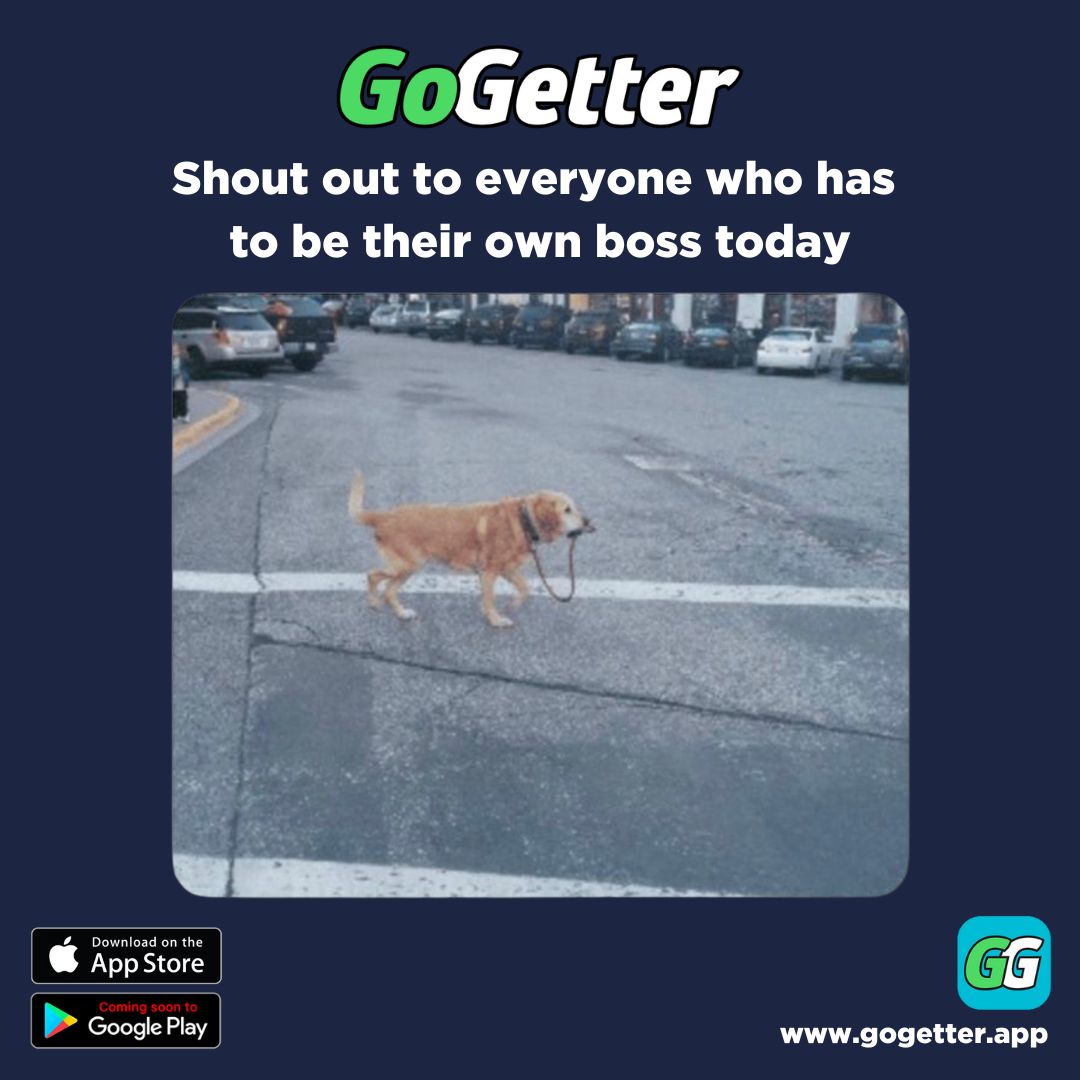 GoGetter_App's tweet image. 🚀 Take control &amp;amp; be your own boss—all from your phone!

With the GoGetter app, you can book clients, accept payments, and stay organized—anytime, anywhere. 💼📲

🔥 Start now! apps.apple.com/us/app/gogette…

#BeYourOwnBoss #SideHustle #Freelancer #Success #Apps