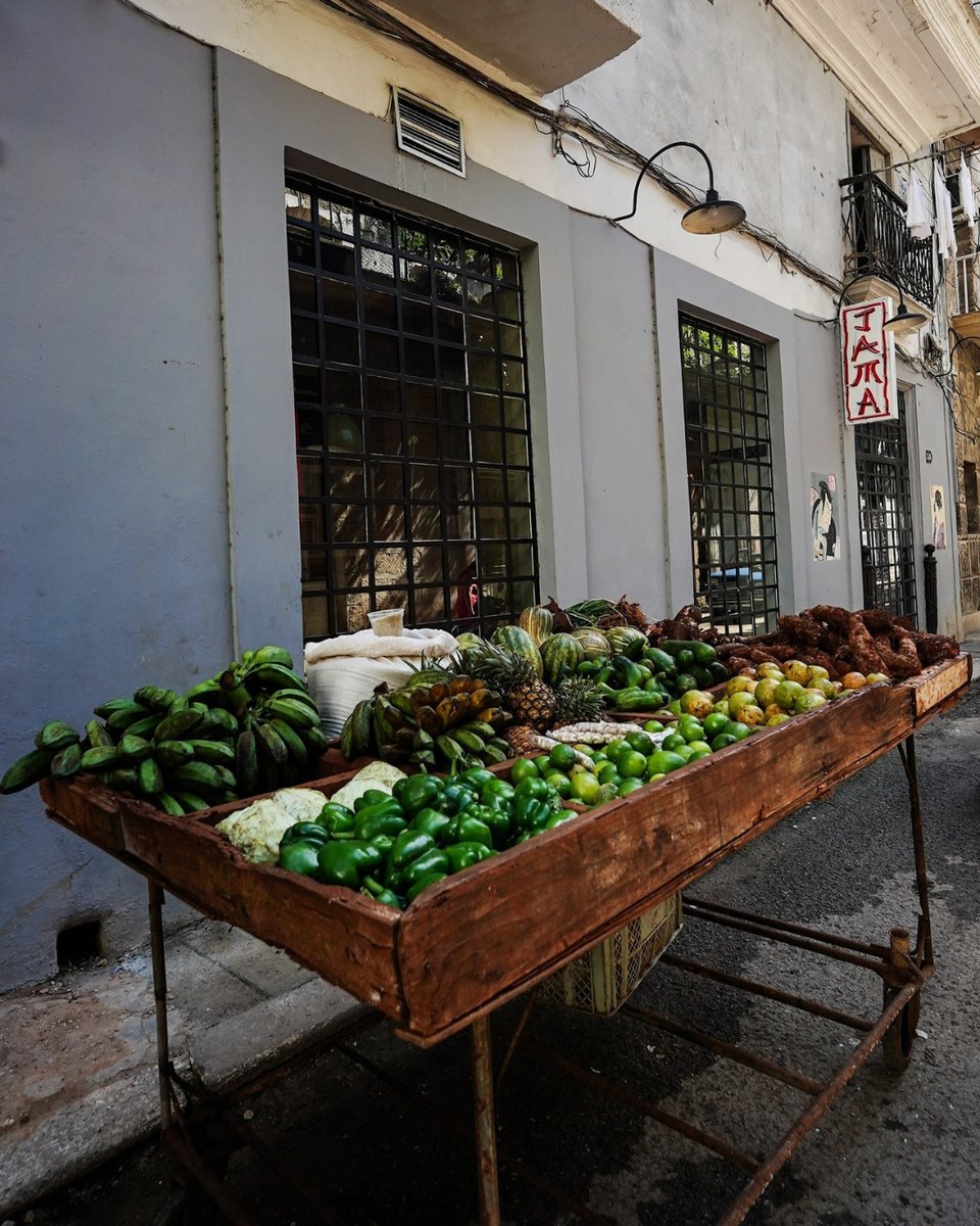 Kempinski Hotels tweet media