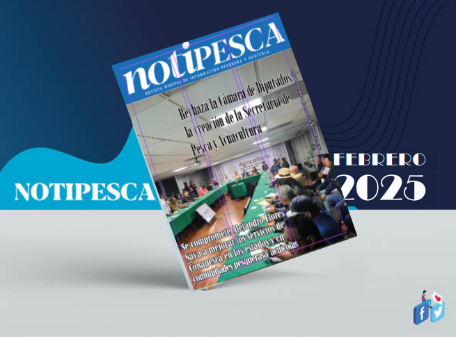 De nuevo aquí con usted, ahora en febrero, la más fresca y reciente edición de <a href="/NotiPesca/">Más Noticias Pesqueras</a>, para que se entere usted de todo lo que sucede en el mundo de la pesca y acuacultura en México. Lo inivitamos a leerla aquí mismo. Información que no tiene precio.
notipesca.com/notipesca-febr…