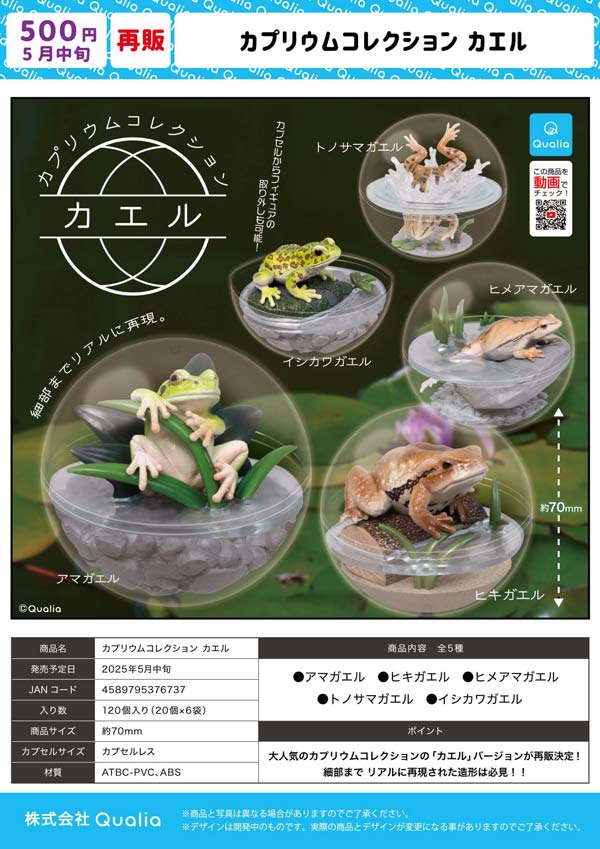 Z/X　空真竜アウィスカエルム　ガチャホロ