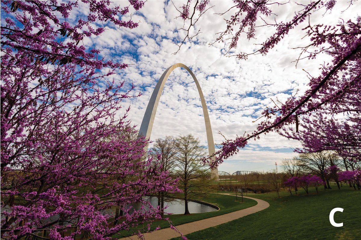 Gateway Arch tweet media