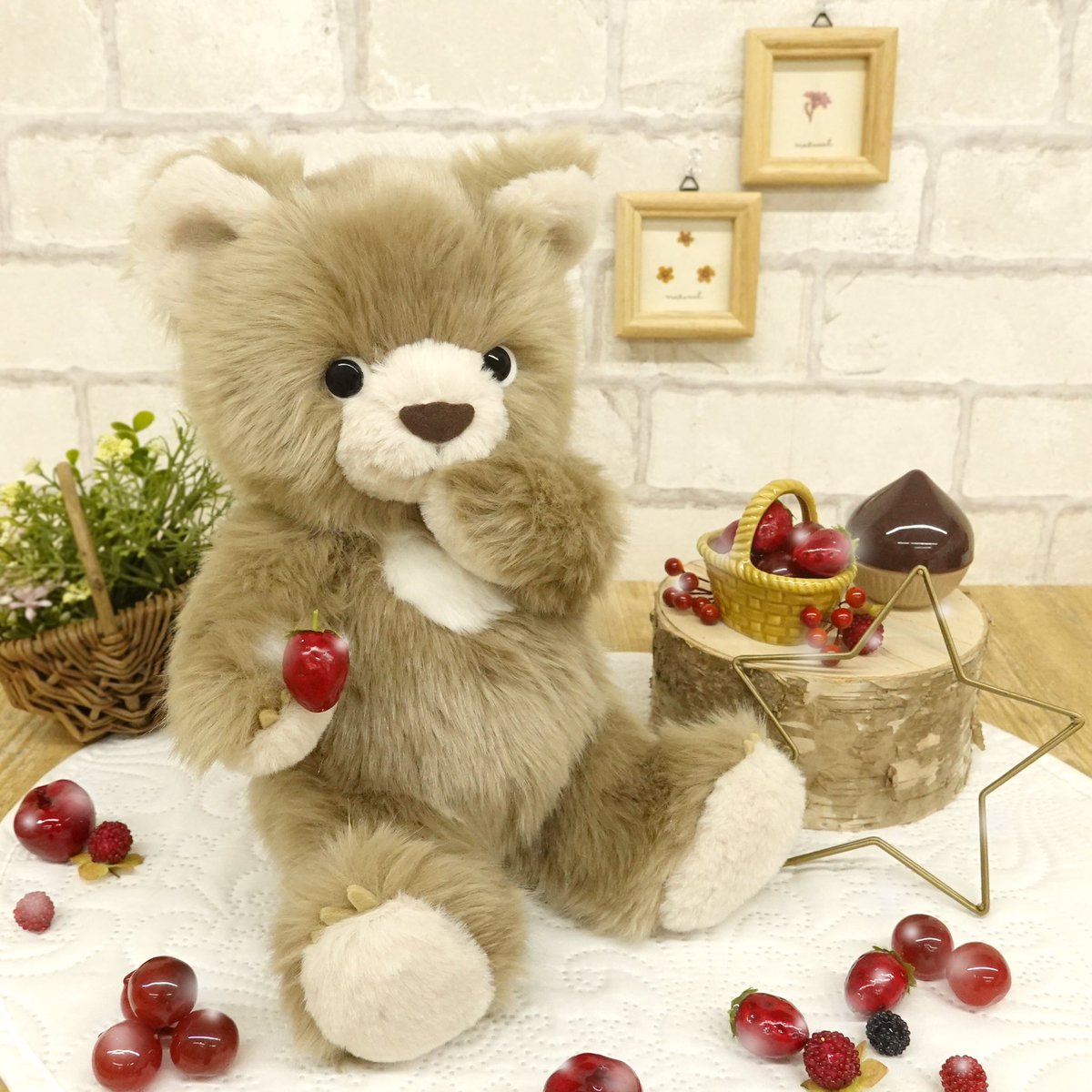 サンアロー ルナ テディベア くま ぬいぐるみ 【公式通販】