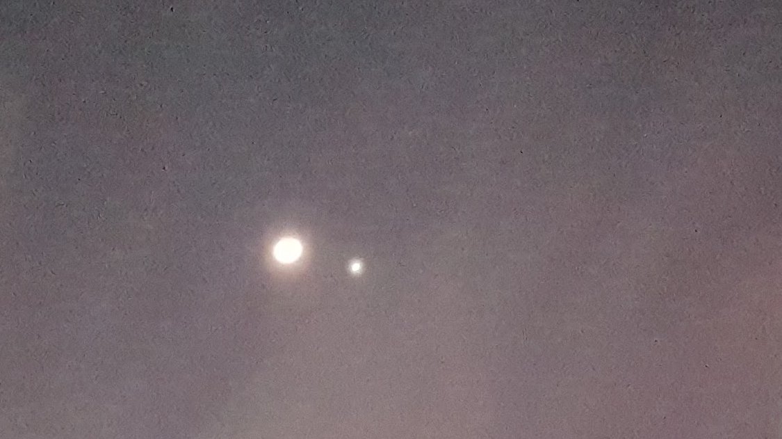 Alejandro Castrejon tweet media