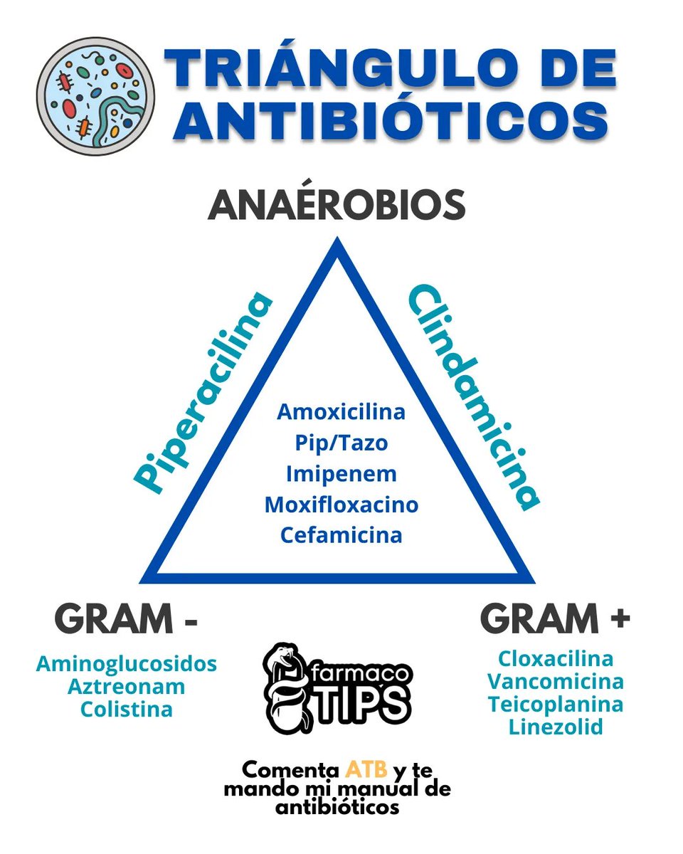 Dr. Javier Flores tweet media