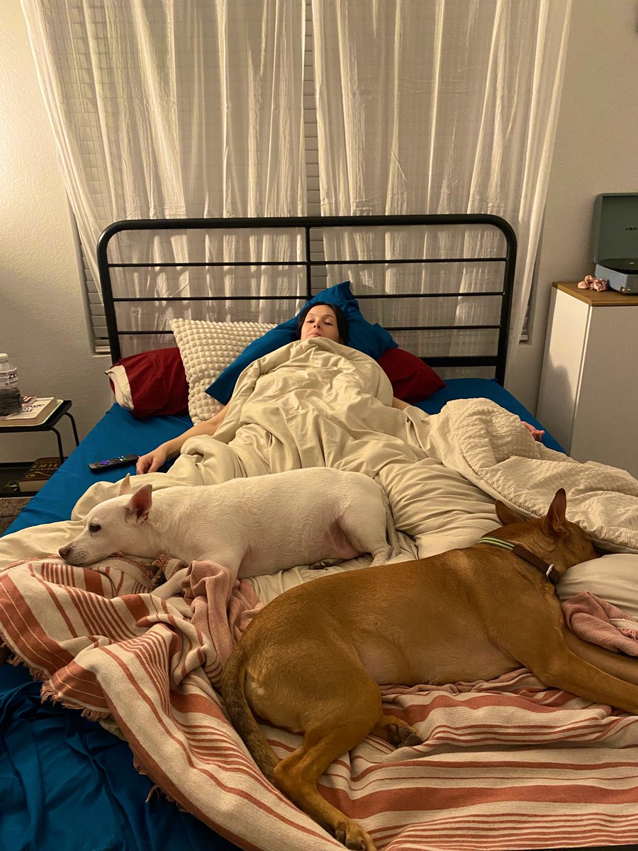 Goodnight from my pink eye dungeon