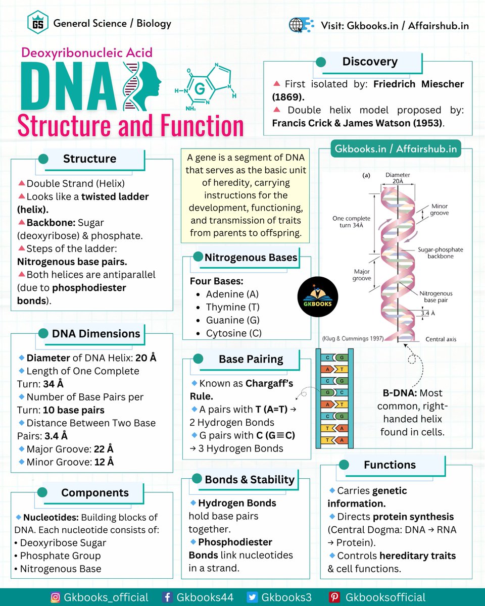 ✅ 𝐔𝐧𝐝𝐞𝐫𝐬𝐭𝐚𝐧𝐝𝐢𝐧𝐠 𝐃𝐍𝐀: 𝐓𝐡𝐞 𝐁𝐥𝐮𝐞𝐩𝐫𝐢𝐧𝐭 𝐨𝐟 𝐋𝐢𝐟𝐞
#DNA #Genetics #Biology #Science #MolecularBiology #GeneticCode #LifeSciences #Biochemistry #Genome #GeneticResearch #generalscience #gkbooks #affairshub #molecularbasisofinheritance #ncertbiology