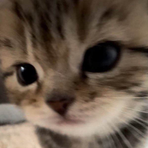 ชั้น.... รุ้ตุวว่าชั้นเอาแต่ใจ แล้วตามใจ มั้ย หล่ะ