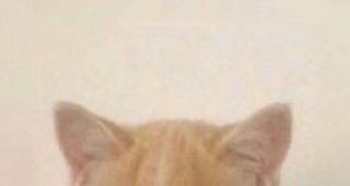 ujimandu's tweet photo. howoo ~~~ https://t.co/8lIm84P5Fg