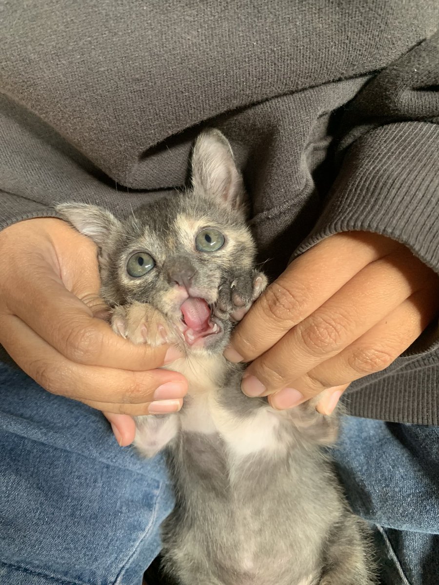 เห้วววววว