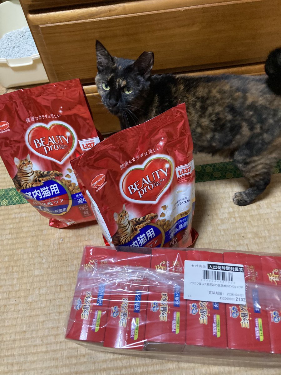 🍀ご支援物資のお礼😺
H.Y様 K.N様X見かけた様2名、皆様の温かいお心遣いに感謝申し上げます🐱🙇‍♀️🌺沢山のご支援本当に有難うございます！
 #ご支援感謝  #保護猫との暮らし #北区赤羽 #里親募集中 #幸猫SA*RA #
エイズキャリア猫だって幸せになれる