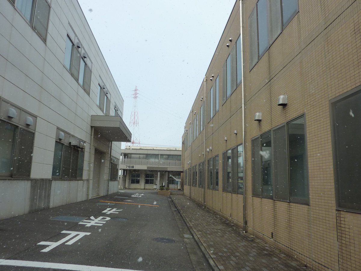 令和７年度の求職者向け職業訓練のご案内です。
誰？？？が表紙を飾る「申し込みガイド」
徳島県内のハローワークにございます。
再就職なら職業訓練、受講料無料でおっ得～♪
「自分らしい働き方、ぜったいあるけん！」
いそがば、しわしわ学ぼ！
#再就職
#職業訓練 
#職業訓練 
#accobin