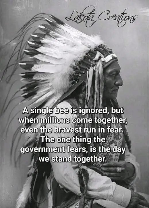 Native American tweet media