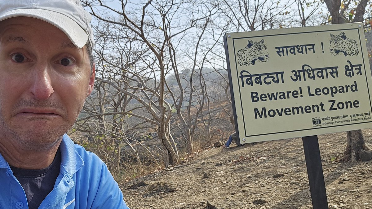 Connor on SQL and Database tweet media