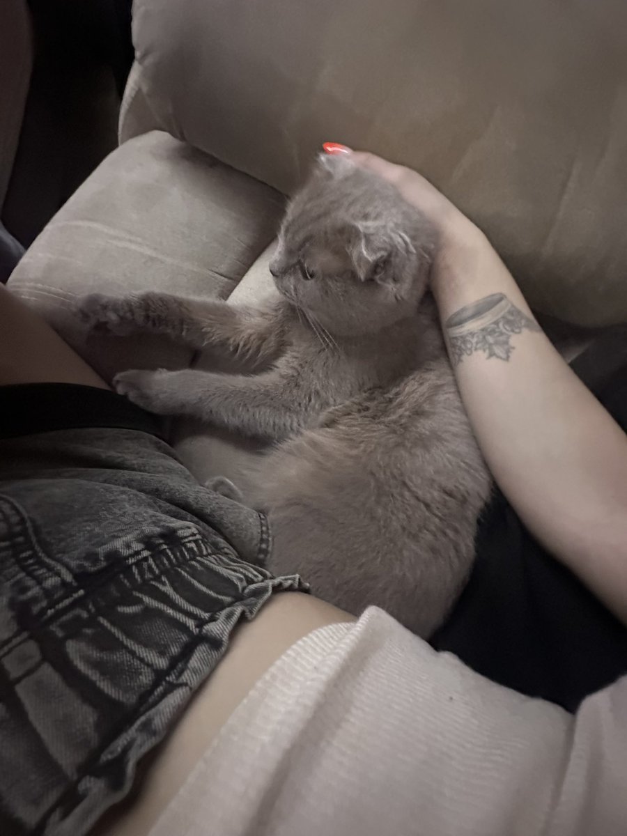 Misterious05's tweet photo. Now I can say. I have hairy pussy😅 https://t.co/Yb2MQcA4uf