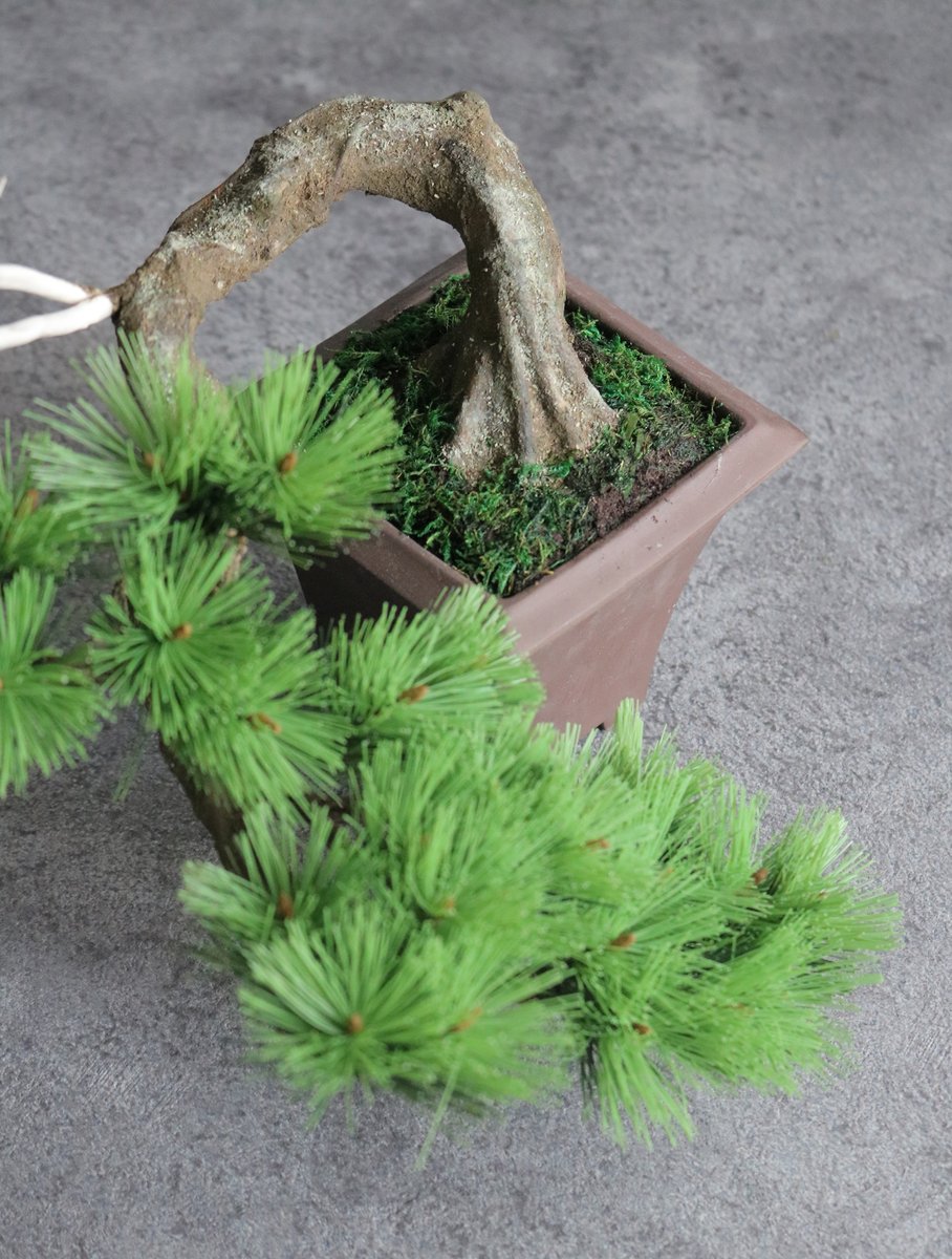 Oh_Bonsai's tweet photo. Hand-made #pinetree #bonsai, using clay, paper and wire. Available to ship overseas from.

新作 #松 の #盆栽
針金や和紙を用いた手作りです。
H28cm　W25cm　D25cm
https://t.co/VJQ65UZczY

手土産や木箱入贈答品にいかがでしょう。

📱050-5898-3524
（tel受付は水・日・祝を除く11時～17時) https://t.co/7Dz3D9zXnO