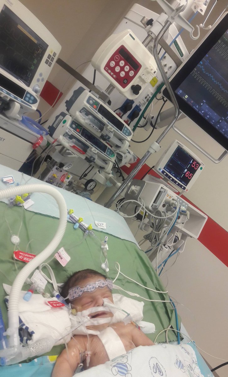 shadiGaza🫒✌️🕊️🇵🇸 (@shadiradia) on Twitter photo <a href="/snackvampire/">🔻🔻🔻mirah 🔻🔻🔻</a> Guys my baby's life is in danger please help save his life 💔🆘🚨
<a href="/aizuddin_anuar/">Aizuddin Mohamed Anuar</a> <a href="/imnotmartina_/">Marty ⚢ 🏳️🌈 🍉</a> <a href="/BonsaiSky/">Nader</a> @coowboylikeme <a href="/Noodoggy/">Cajun Commie ☭🇵🇸🍉</a> <a href="/nnnnnnxox/">🇵🇸</a> <a href="/nihalist___/">Nihal | نهال</a> <a href="/FeliVDDR/">FP ECO 🦊</a> <a href="/Edelmiro1962/">Edelmiro Molinari 💚🇪🇸💚</a> <a href="/lojan_carlos/">Carlos eduardo lojan</a> <a href="/MurphyEduardo/">Eduardo Murphy</a> <a href="/JaviEgara/">Javi Egara</a> <a href="/Egue357/">Egue</a> <a href="/Elsahuri12/">Elsahuri</a> <a href="/_TataElena/">Sólo Elena</a> <a href="/Luca78716913/">Pik</a> <a href="/snackvampire/">🔻🔻🔻mirah 🔻🔻🔻</a> Guys my baby's life is in danger please help save his life 💔🆘🚨
<a href="/aizuddin_anuar/">Aizuddin Mohamed Anuar</a> <a href="/imnotmartina_/">Marty ⚢ 🏳️🌈 🍉</a> <a href="/BonsaiSky/">Nader</a> @coowboylikeme <a href="/Noodoggy/">Cajun Commie ☭🇵🇸🍉</a> <a href="/nnnnnnxox/">🇵🇸</a> <a href="/nihalist___/">Nihal | نهال</a> <a href="/FeliVDDR/">FP ECO 🦊</a> <a href="/Edelmiro1962/">Edelmiro Molinari 💚🇪🇸💚</a> <a href="/lojan_carlos/">Carlos eduardo lojan</a> <a href="/MurphyEduardo/">Eduardo Murphy</a> <a href="/JaviEgara/">Javi Egara</a> <a href="/Egue357/">Egue</a> <a href="/Elsahuri12/">Elsahuri</a> <a href="/_TataElena/">Sólo Elena</a> <a href="/Luca78716913/">Pik</a>