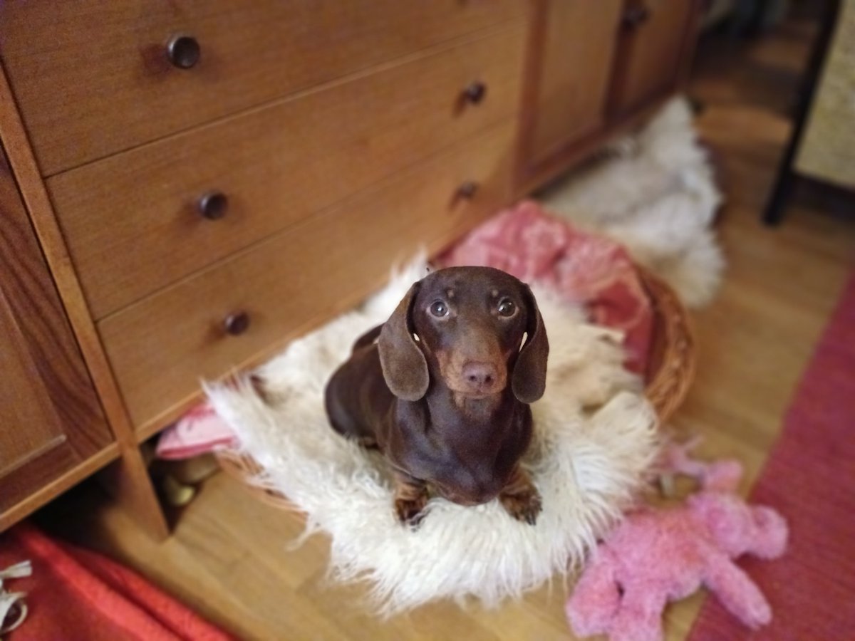 Koska X on muuttumassa dicktaattoreiden hiekkalaatikoksi, meidän jengi jättäytyy pois. 
Tili jää, ettei kukaan voi sitä kaapata, mutta näillä näkymin en täällä käy enkä julkaise. Peace and love 🌿🕊