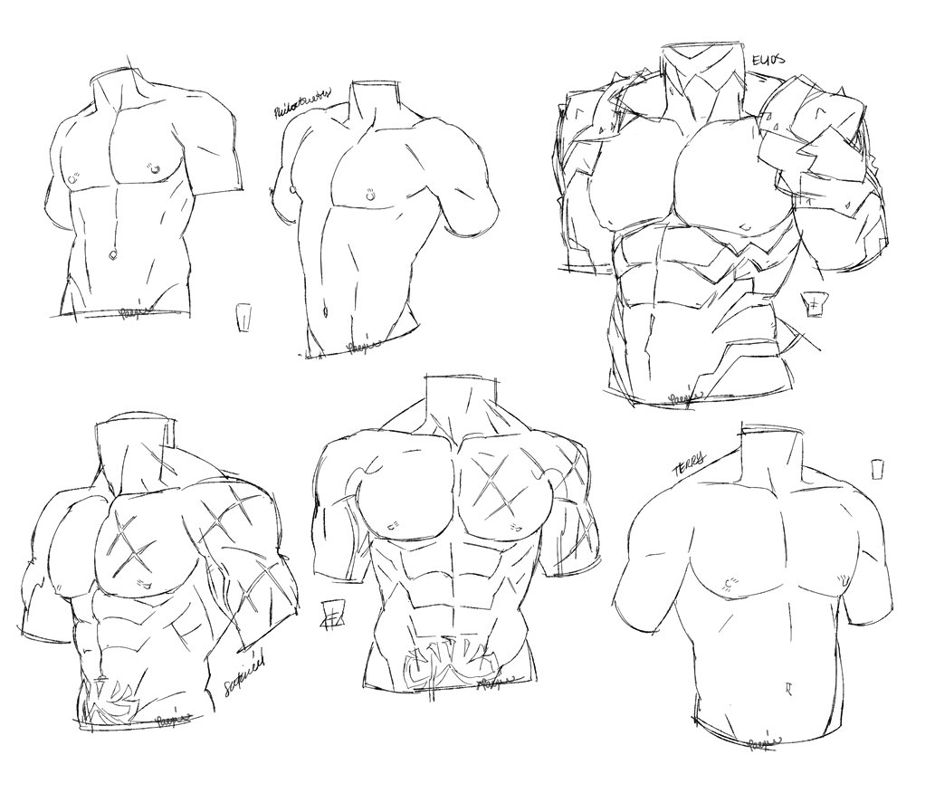 paexie's tweet image. Torsos