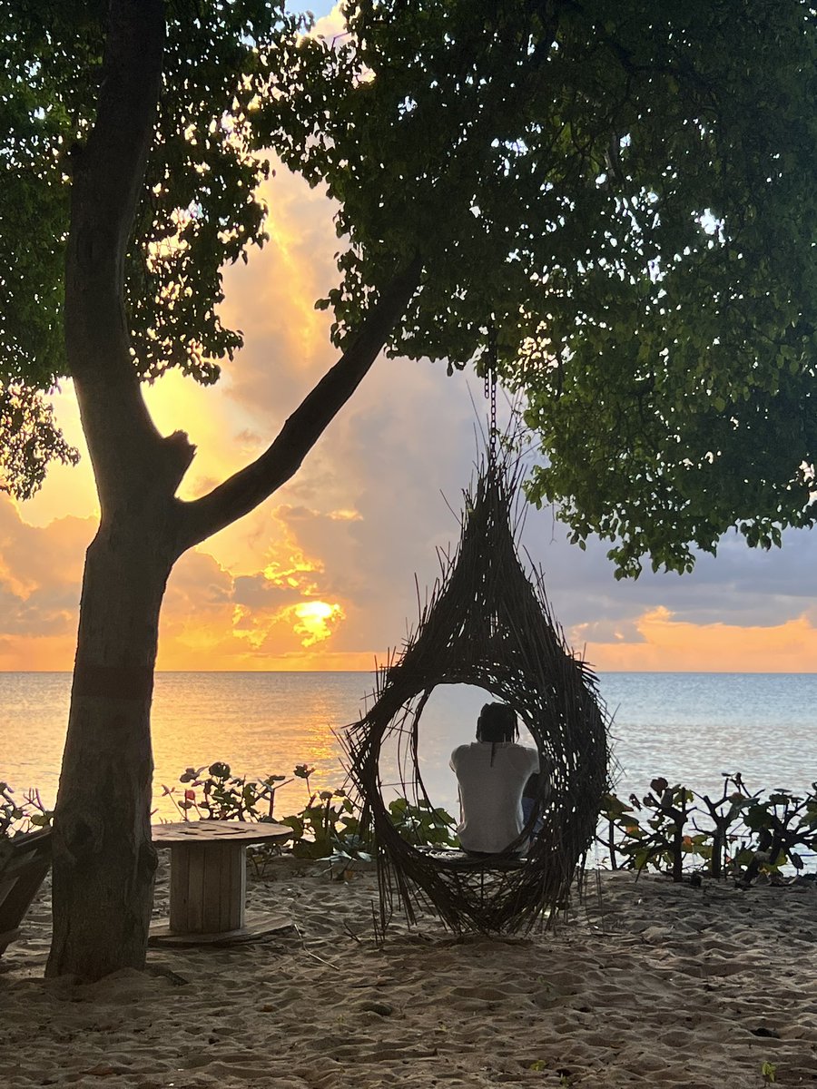 CSBennett868's tweet photo. Taking it all in. https://t.co/wxglRW8Bch