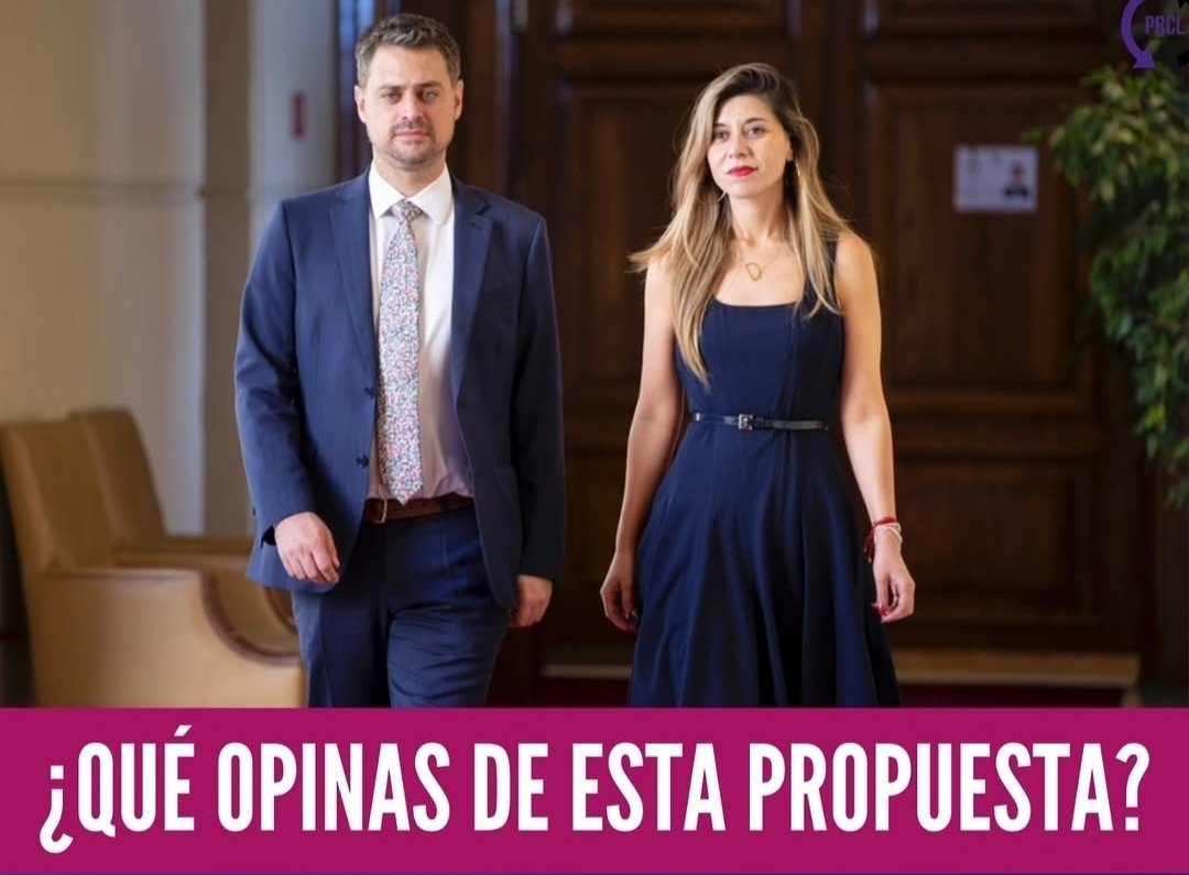 Diputados Manouchehri y Cicardini van a tramitar el proyecto de ley q impide votar a los extranjeros. Si quieren tener derechos políticos y elegir las autoridades q se nacionalicen. Además, así se les acabará a la derecha mafiosa el negocio electoral con los venecos.