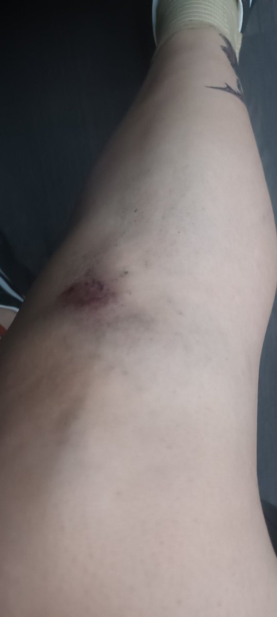 Mabelishaaa's tweet photo. Él- vete con cuidado 
Yo- chi
Él- pero de verdad, cuídate mucho
Yo- lo prometo 
*cruza las puertas de la terminal*
*checa su boleto* 
*se atora entre la banqueta y el escalón del bus*
Jaaaaa https://t.co/MEsjU8g9Zg
