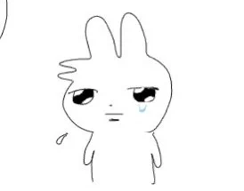 80 pages 