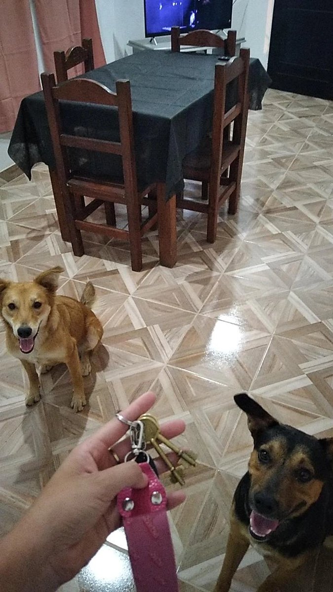 bordonnaty99's tweet photo. Ahora sí después de tanto, con lágrimitas en los ojos puedo decir que el 2025 empezó bien para nosotros🏡❤️‍🩹
Todo por ustedes 2 siempre🥺 https://t.co/r5Bz0lKwlO