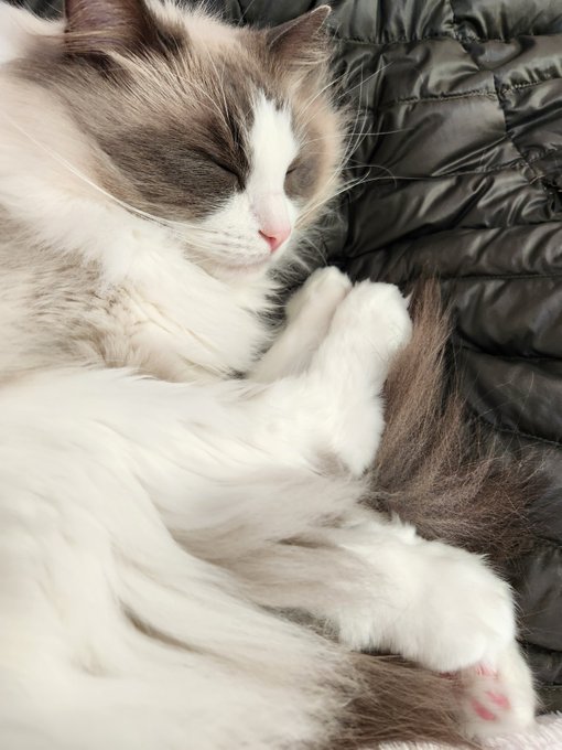 ナンナ おててとおみあしが入れ替わってるね 