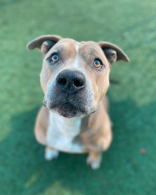 Suspense tweet media