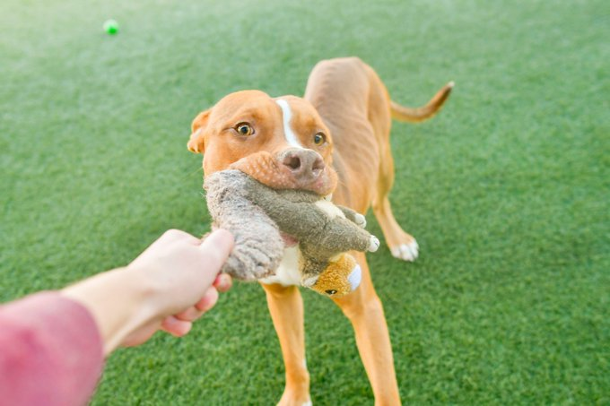 Suspense tweet media