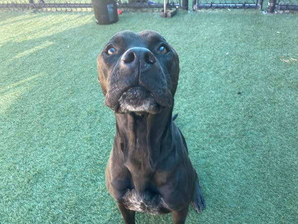 Suspense tweet media