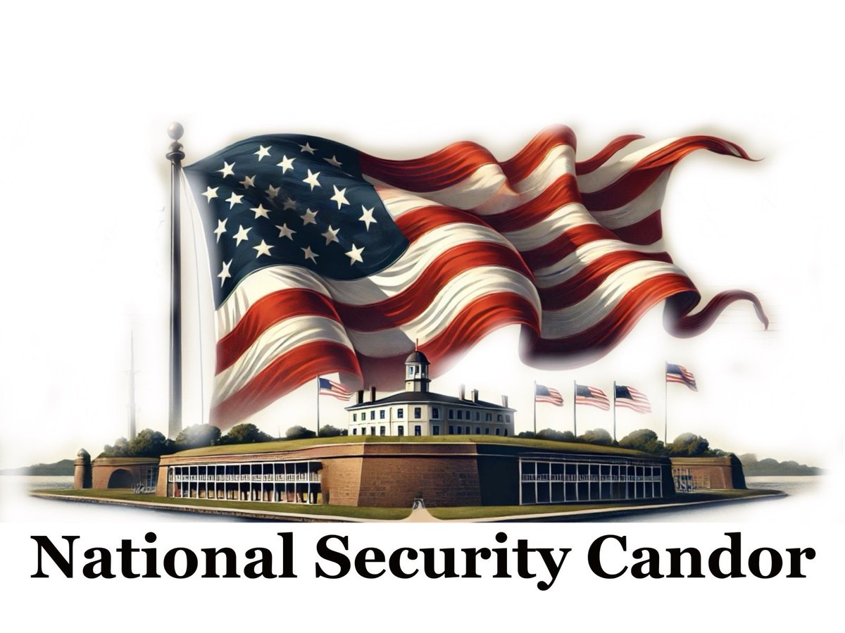NatSecCandor's tweet photo. @newsthyme Thank you 🇺🇸 https://t.co/eUF348qqD3