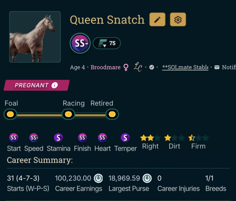 SOLmate Stables 🌹#solmvp tweet media