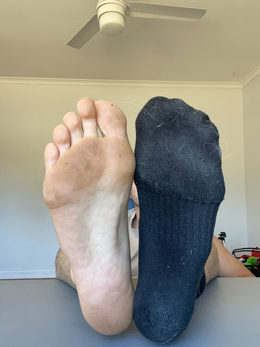 KingKfeet's tweet photo. Musty &amp; dirty? What is there to not love and worship about these feet and socks. 

#alphafeet #guyfeet #menfeet #malefeet #guysocks #malesocks #cashmaster #findom #kingfeet #jockfeet #jock #alpha https://t.co/X2yAgaRW64
