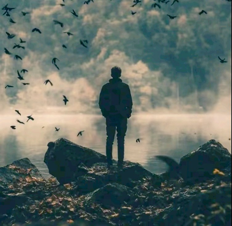 George H. Crawford (@georgehc577) on Twitter photo  George H. Crawford (@georgehc577) on Twitter photo