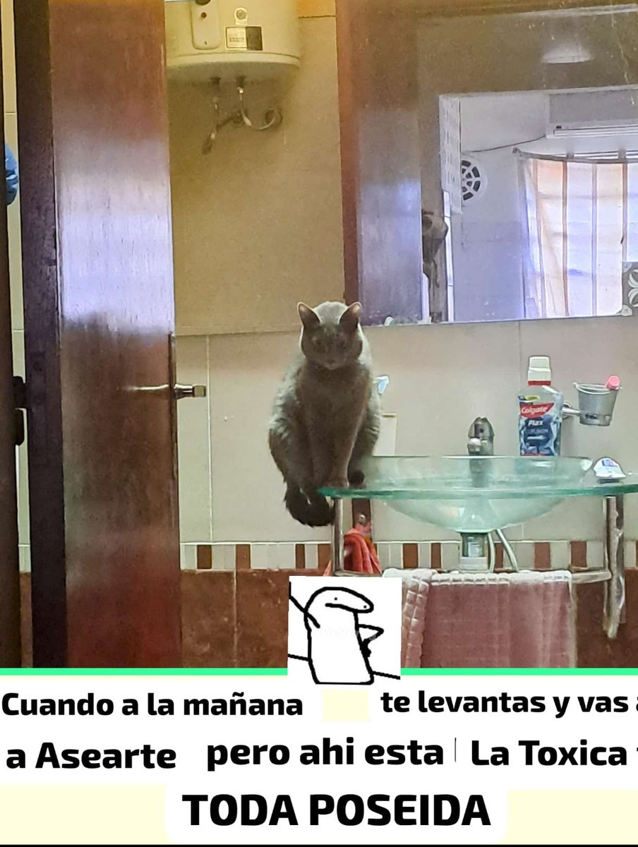 ELismaR762's tweet photo. Jefe hoy no podré ir a trabajar la toxica esta poseida
Tengo que traer un exorcista!
-ok si no me mandas fotos estas despedido.. https://t.co/jgpKPaHlDe