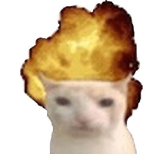 mie ay4m tweet media