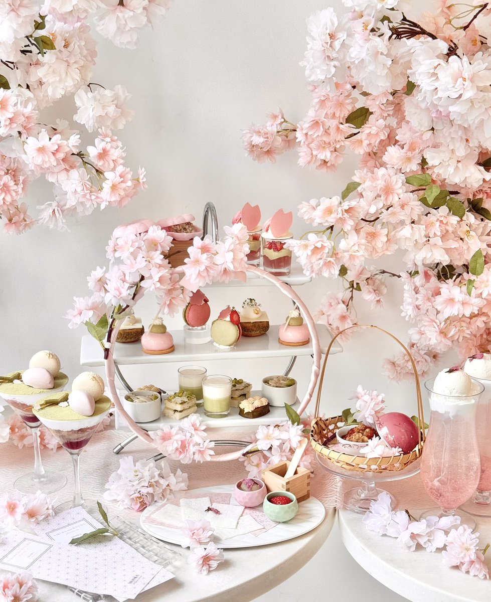 🌸🍃🌸🍃 🌸🍃🌸🍃 🌸🍃🌸🍃 🌸 桜3000本の中で楽しむ 【桜とお抹茶