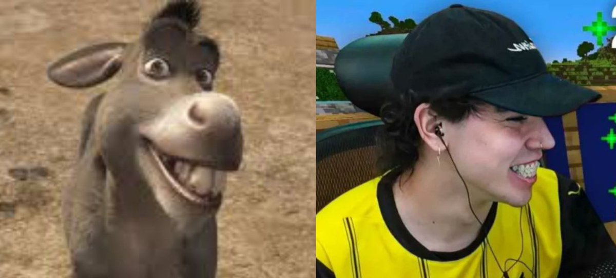 spreenreactions's tweet photo. @SpreenDMC vas a dejar de ser el burro de sherk 🙀 https://t.co/puSaOtWMKE