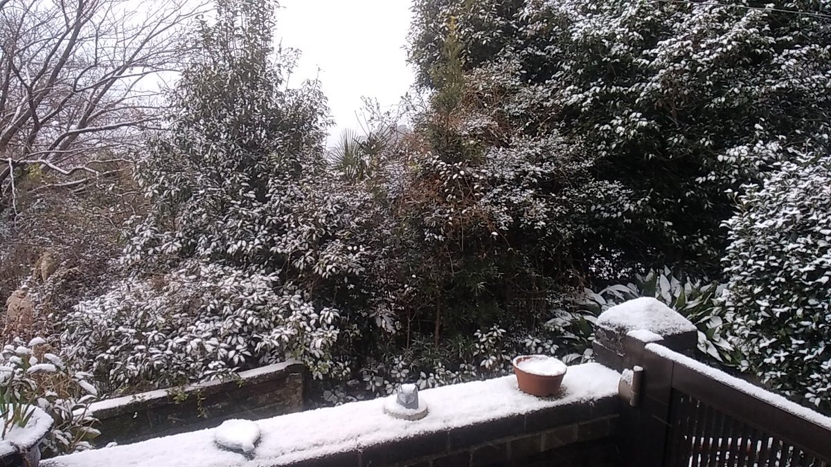 riko_web2's tweet photo. おはようございます❄️
佐世保も雪になりました☃️
皆さん、お気を付けて🙏 https://t.co/Y4A4sJOFd0